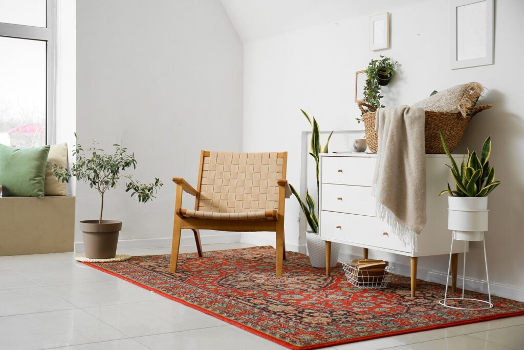 Traditional area rug in red and blue in a foyer